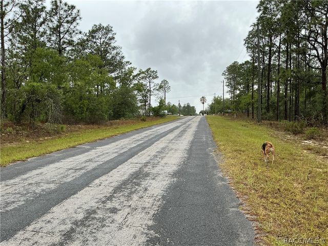 2905 W Sharpes Drive, Citrus Springs, FL 34433