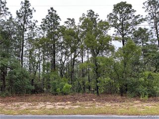 2905 W Sharpes Drive, Citrus Springs, FL 34433