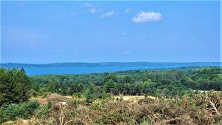 Parcel B Cemetery Road, Alden, MI 49612