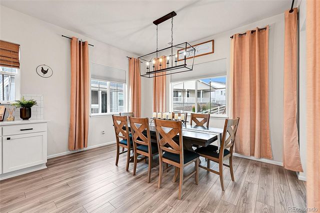 5018 SilverHare Court, Castle Rock, CO 80104