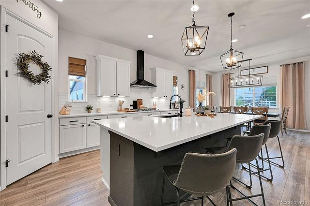 5018 SilverHare Court, Castle Rock, CO 80104