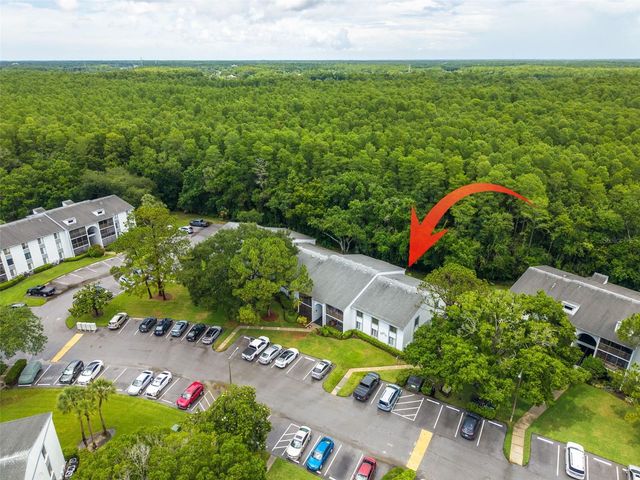 1326 PINE RIDGE CIRCLE E G2, Tarpon Springs, FL 34688