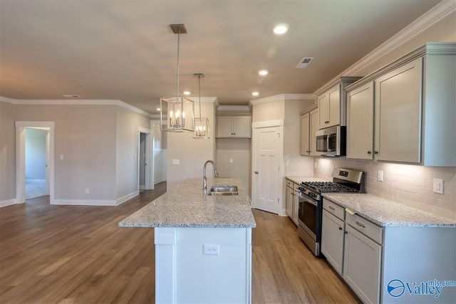 115 Rio Grande Way, Madison, AL 35756