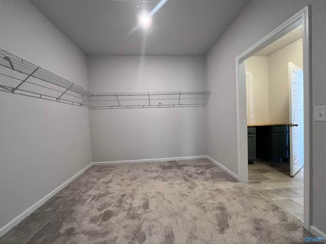 13041 Lantern Pointe Way, Harvest, AL 35749