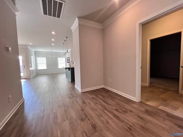 13041 Lantern Pointe Way, Harvest, AL 35749