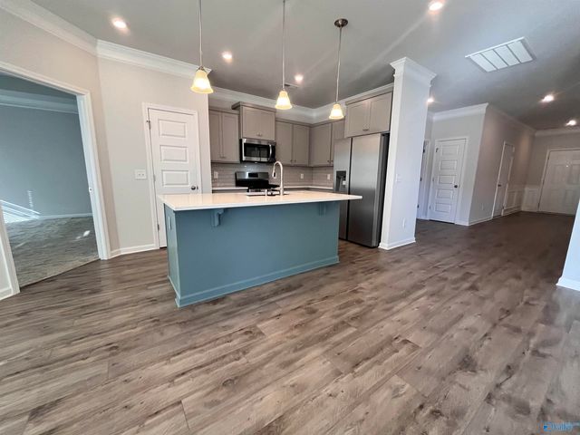 13041 Lantern Pointe Way, Harvest, AL 35749