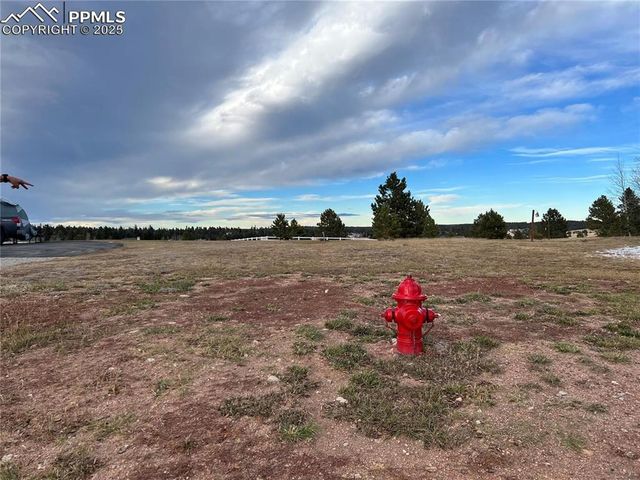 106 Stephanie Place, Divide, CO 80814
