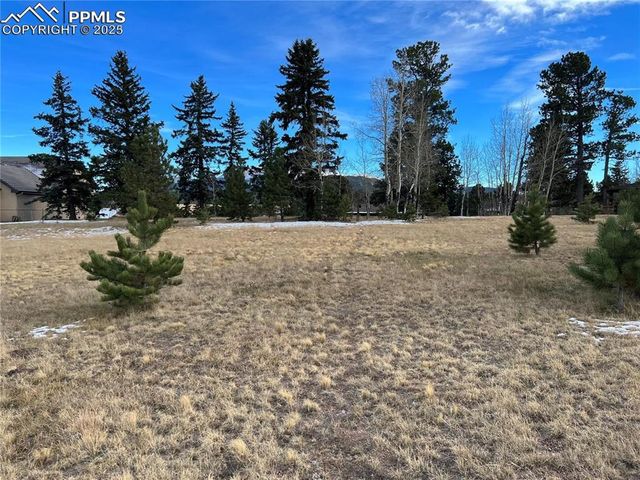 106 Stephanie Place, Divide, CO 80814