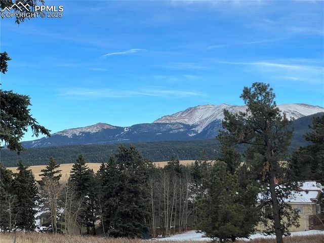 106 Stephanie Place, Divide, CO 80814