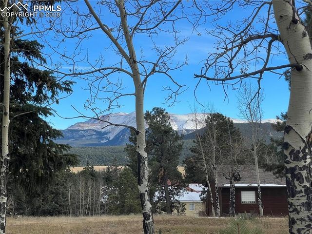 106 Stephanie Place, Divide, CO 80814