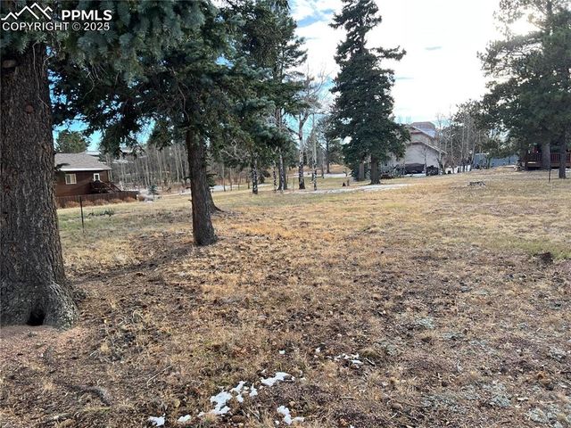 106 Stephanie Place, Divide, CO 80814