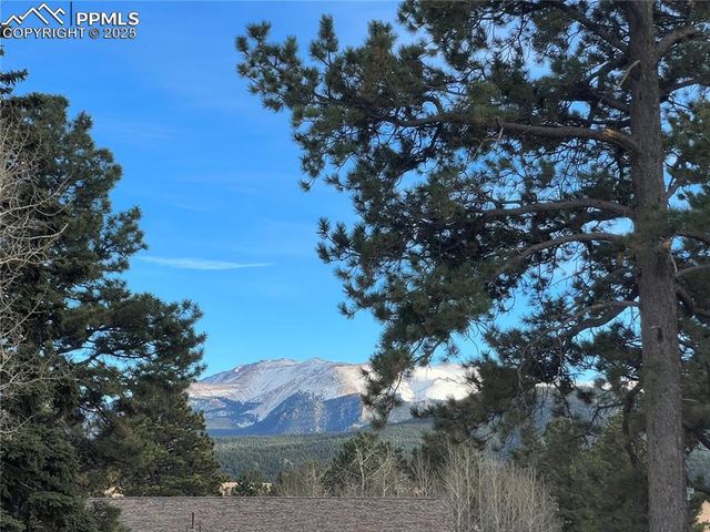 106 Stephanie Place, Divide, CO 80814