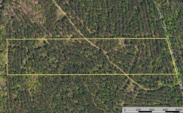 Tract 20 CR 4224, Frankston, TX 75763