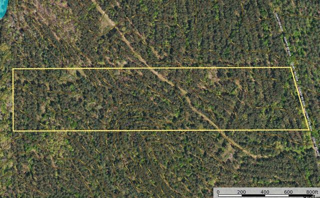 Tract 20 CR 4224, Frankston, TX 75763