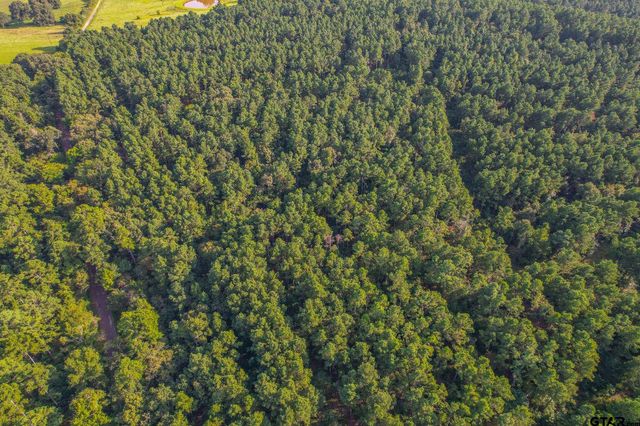 Tract 20 CR 4224, Frankston, TX 75763