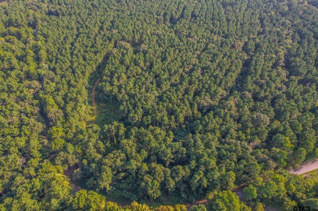 Tract 20 CR 4224, Frankston, TX 75763