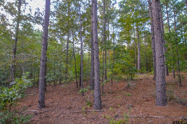 Tract 20 CR 4224, Frankston, TX 75763