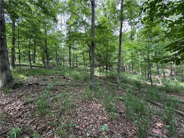 TBD CR 206, Eureka Springs, AR 72632