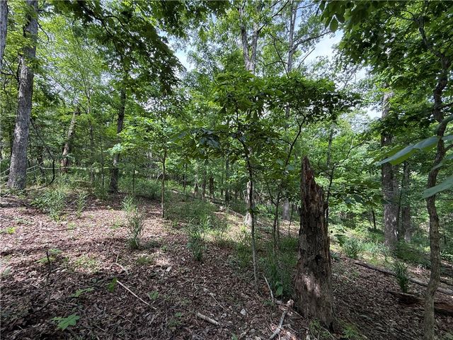 TBD CR 206, Eureka Springs, AR 72632