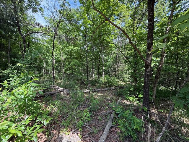 TBD CR 206, Eureka Springs, AR 72632