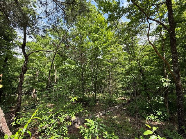 TBD CR 206, Eureka Springs, AR 72632