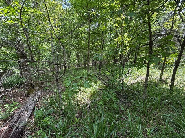 TBD CR 206, Eureka Springs, AR 72632