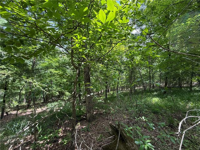 TBD CR 206, Eureka Springs, AR 72632