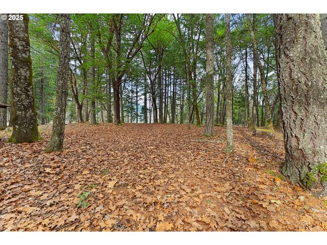 414 CALLAHAN Rd, Roseburg, OR 97471