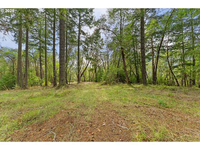 414 CALLAHAN Rd, Roseburg, OR 97471