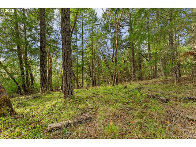 414 CALLAHAN Rd, Roseburg, OR 97471