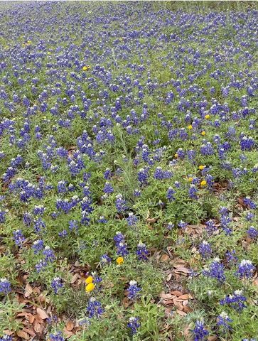 208 W 7th Street W, Weatherford, TX 76086