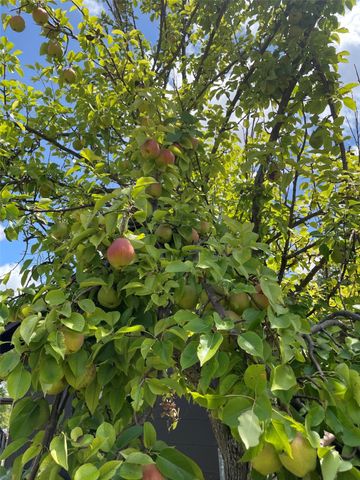 208 W 7th Street W, Weatherford, TX 76086