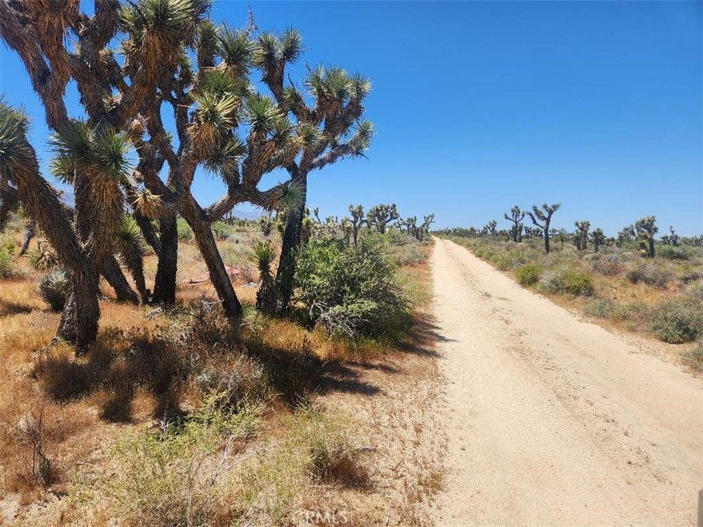 Image 4 of property listing at 0 Ave X6 212 Street, Llano, CA 93544