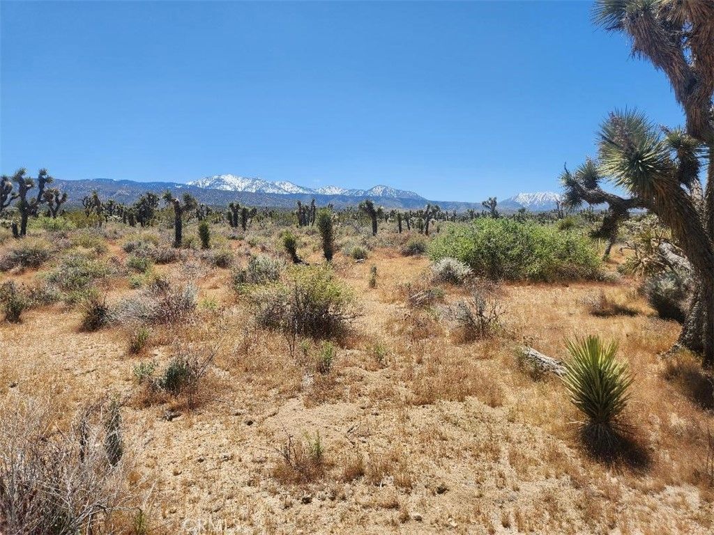 Image 5 of property listing at 0 Ave X6 212 Street, Llano, CA 93544