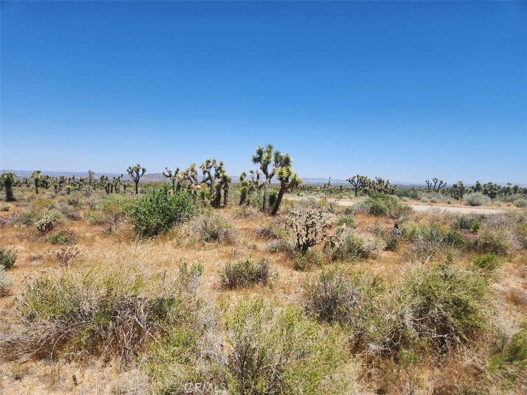 Image 6 of property listing at 0 Ave X6 212 Street, Llano, CA 93544