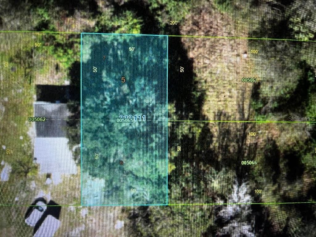 CAIN STREET, Mulberry, FL 33860