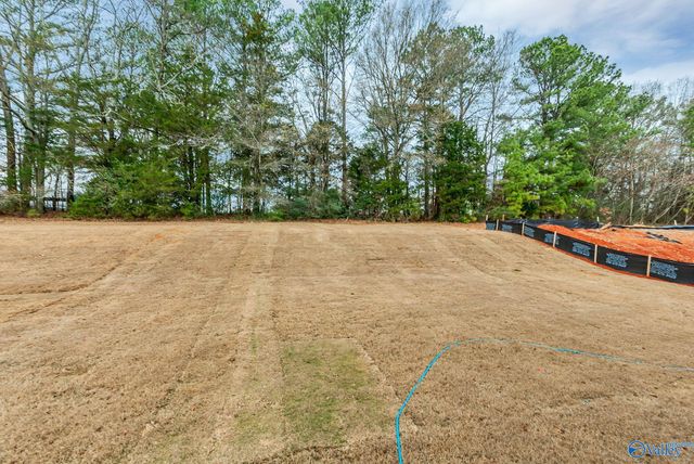 15500 Lapwing Cove, Athens, AL 35611