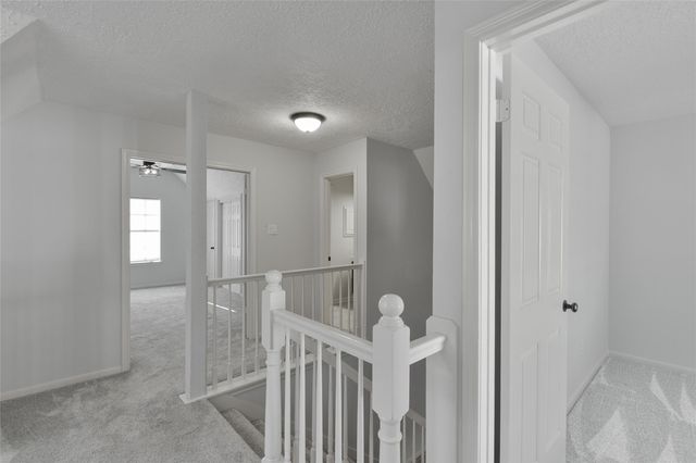 4527 Natural Bridge Drive, Houston, TX 77345