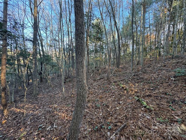 8485 Huffman Avenue, Connelly Springs, NC 28612