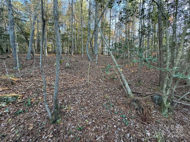 8485 Huffman Avenue, Connelly Springs, NC 28612