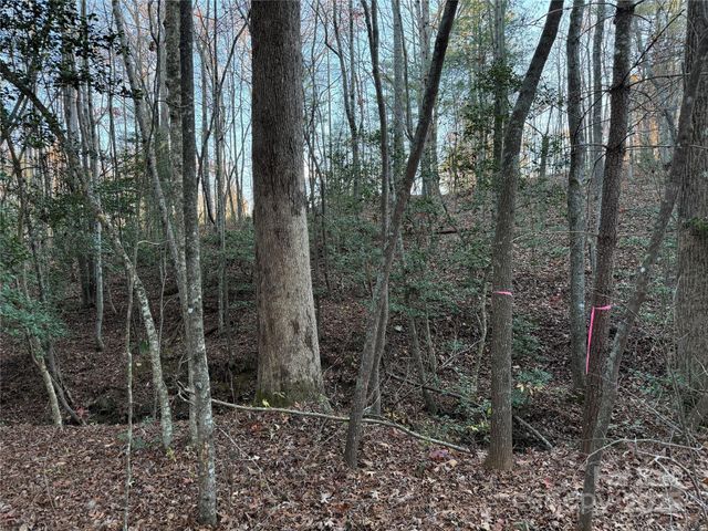 8485 Huffman Avenue, Connelly Springs, NC 28612