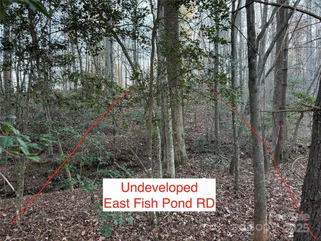 8485 Huffman Avenue, Connelly Springs, NC 28612