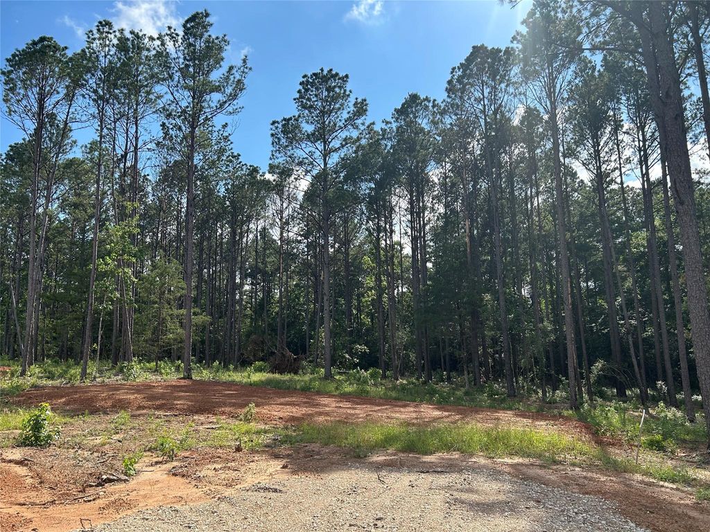 11339 Annie Creek Drive, Willis, TX 77378