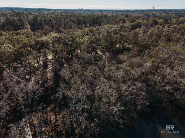 0 Old Shipyard Road, Mobile, AL 36619