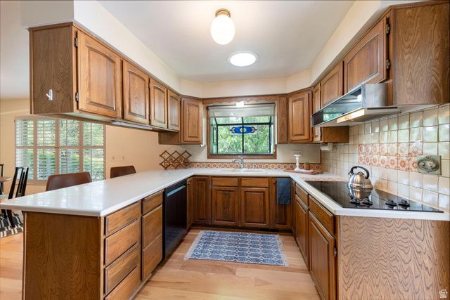 4909 S NANILOA DR, Holladay, UT 84117