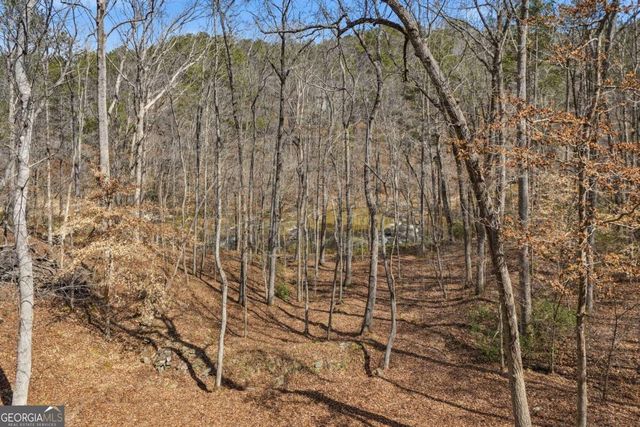 8010 Thunder River Way, Cumming, GA 30028