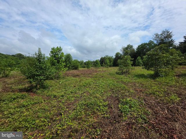 24375 CONSTITUTION HWY, Unionville, VA 22567