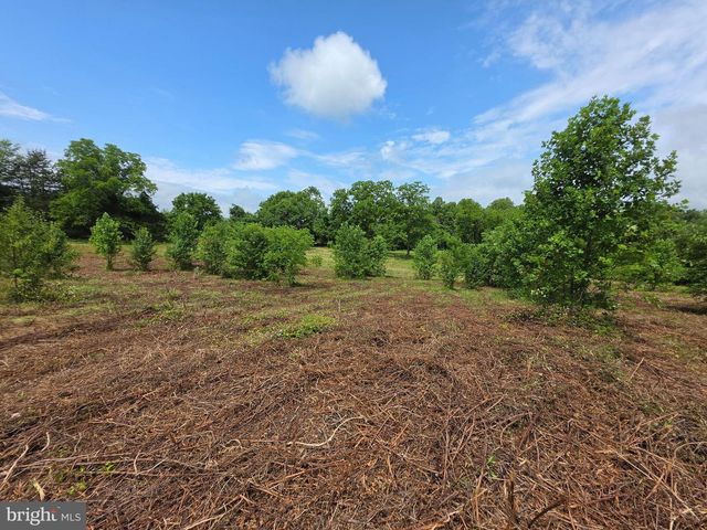 24375 CONSTITUTION HWY, Unionville, VA 22567