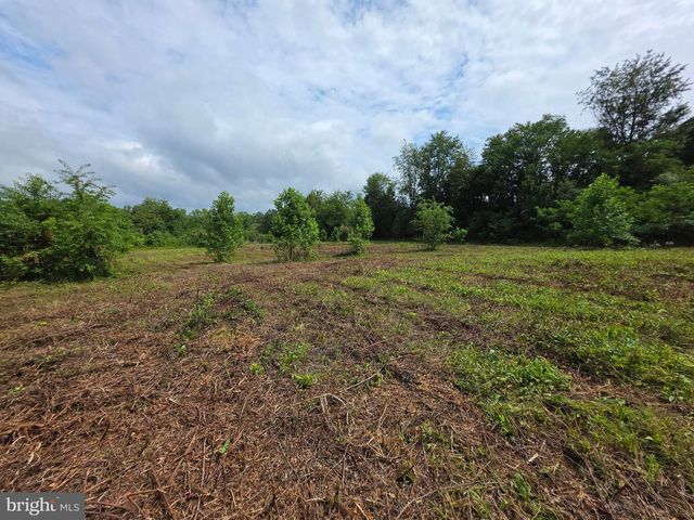 24375 CONSTITUTION HWY, Unionville, VA 22567