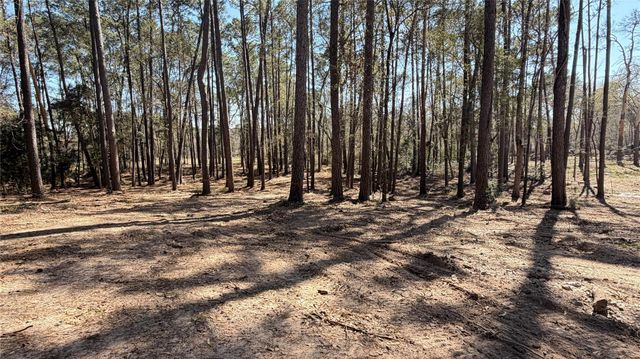 0 Michael Drive, Magnolia, TX 77355